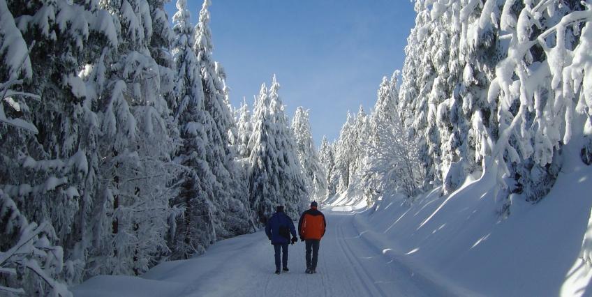 Duitsland Zwarte Woud winterwandelaars in sneeuw